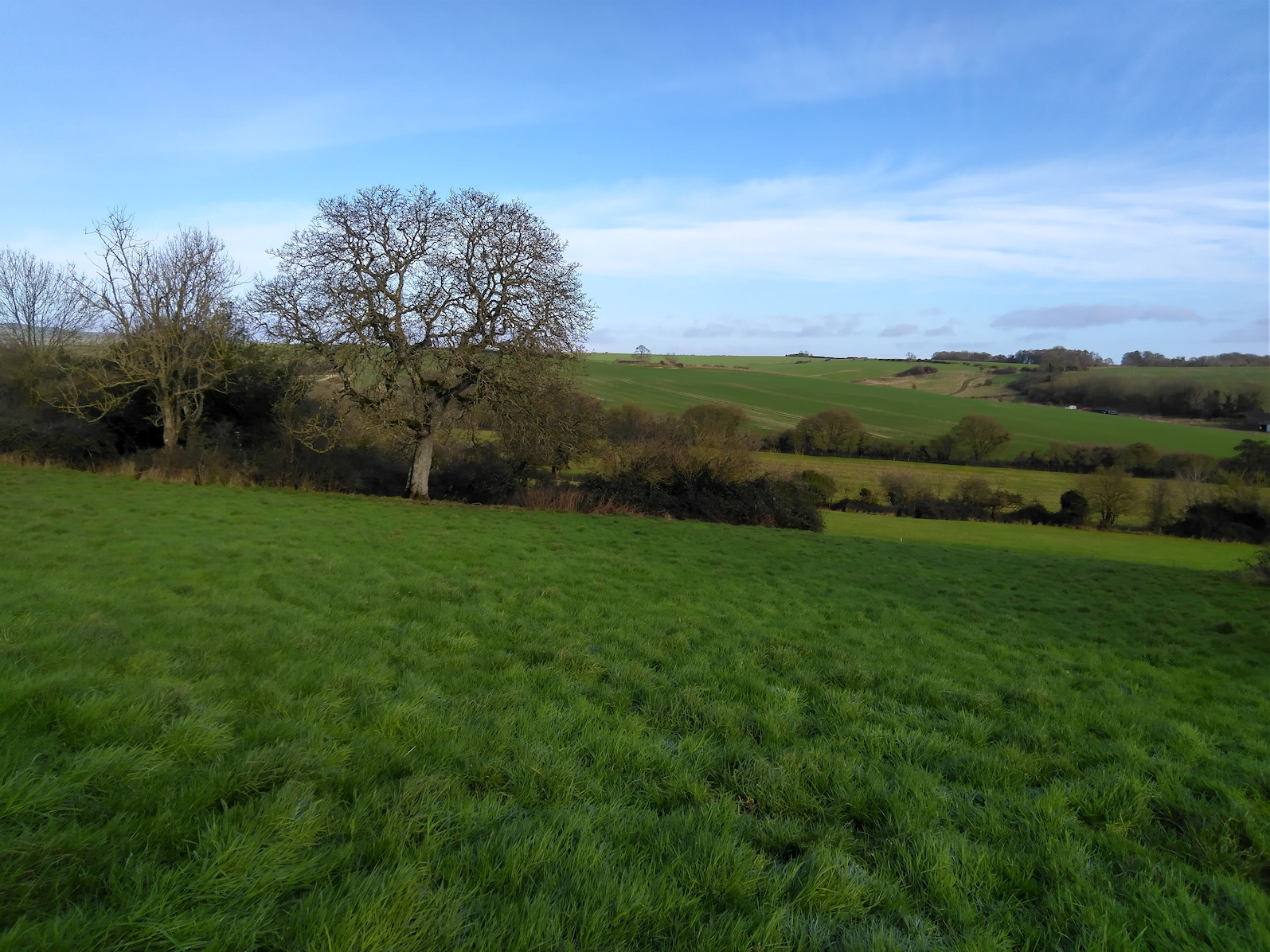 Fields across to Bubarrow Resize