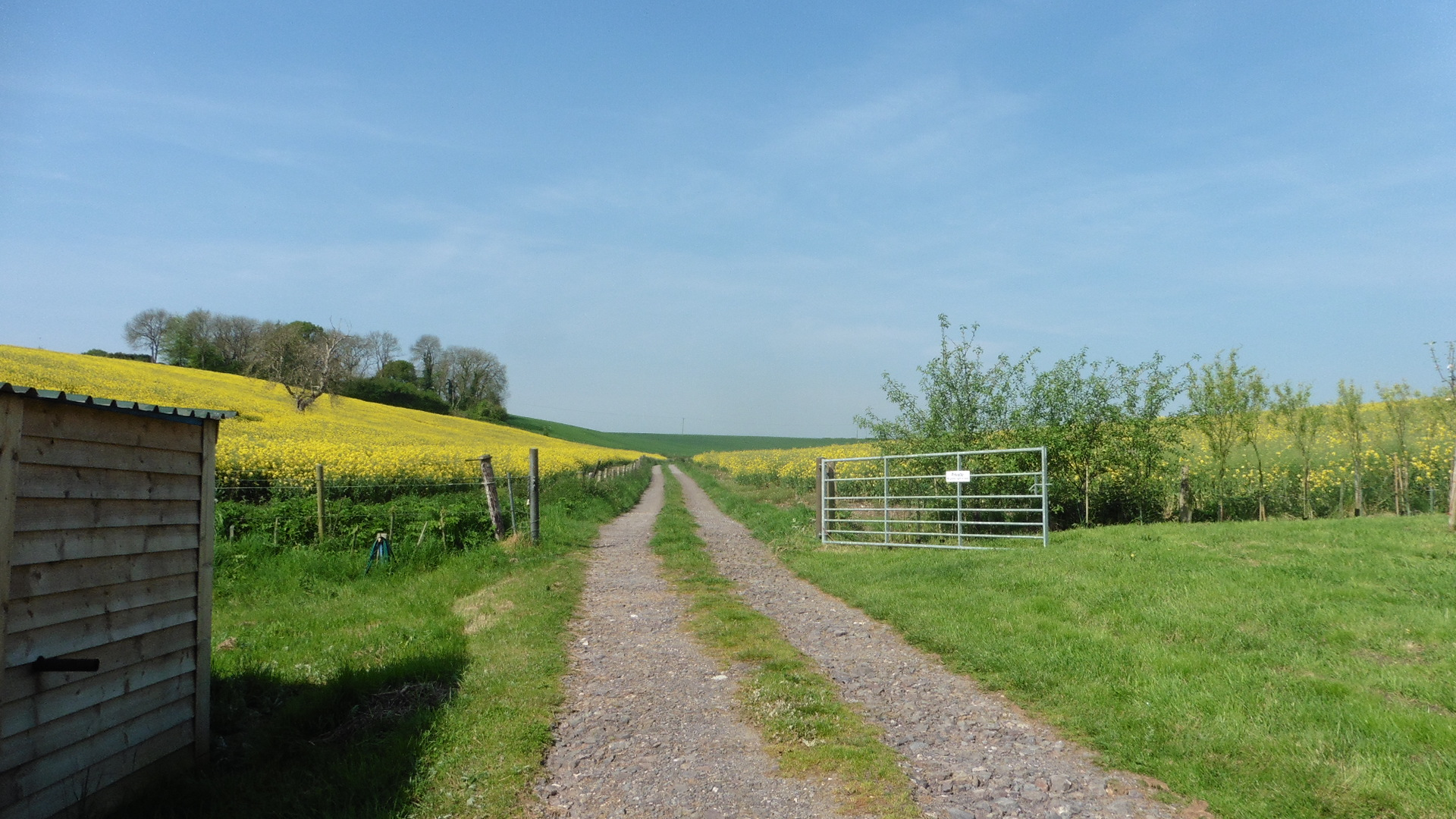 Main Track 1